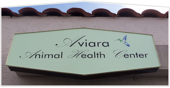 Carlsbad Veterinary Location | Veterinarians Near Oceanside, Encinitas,  Cardiff